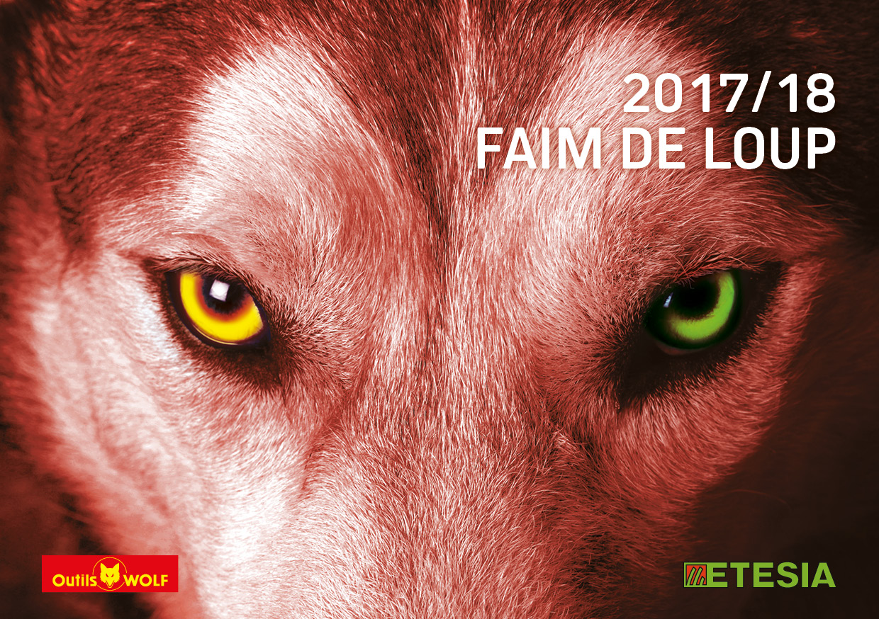 ETESIA - OUTILS WOLF 2017/18