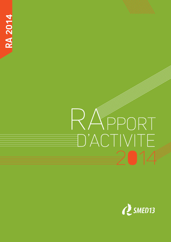 SMED13 - RAPPORT D’ACTIVITE 2014 (2015)