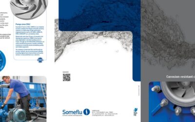 SOMEFLU : Dépliants 3 volets v.EN