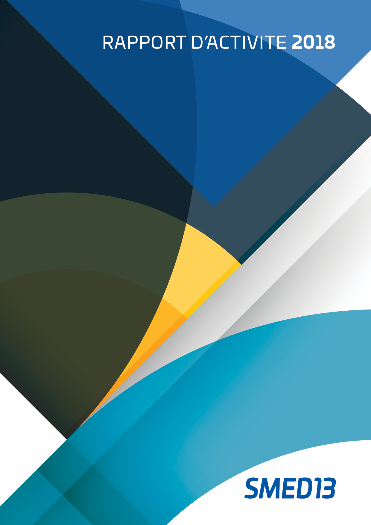 SMED13 - RAPPORT D’ACTIVITE 2015 (2016)