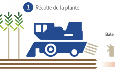 Infographie Industrielle – Schéma Pompe en Chanvre