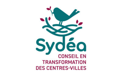 Sydéa – Logo & Charte